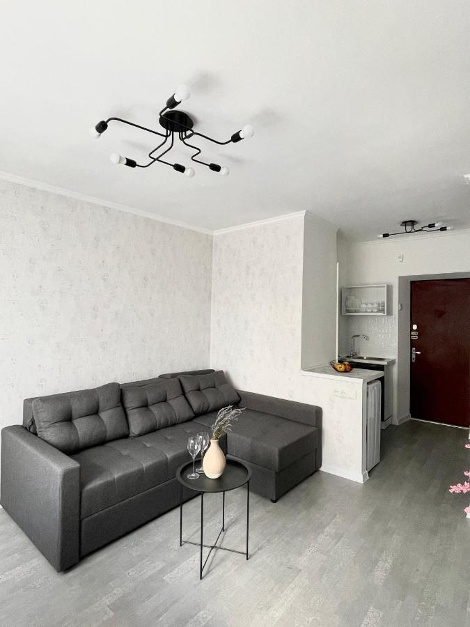 Apartment 1-комнатная уютная смарт квартира-студия *